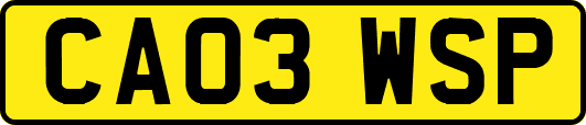 CA03WSP