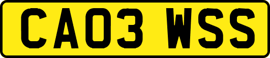 CA03WSS