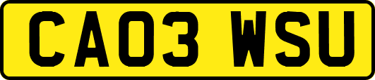 CA03WSU