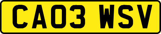 CA03WSV