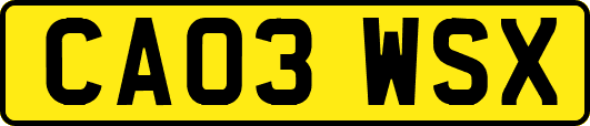 CA03WSX