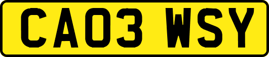 CA03WSY