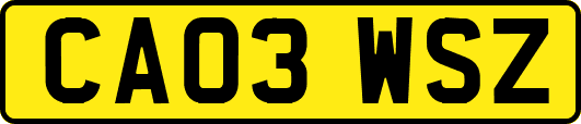 CA03WSZ