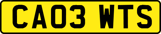 CA03WTS