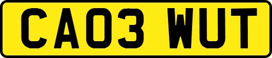 CA03WUT