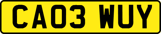 CA03WUY