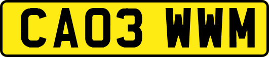 CA03WWM