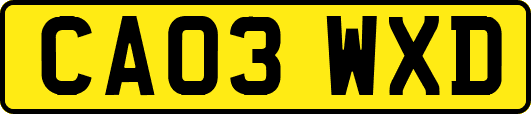 CA03WXD
