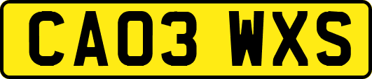 CA03WXS