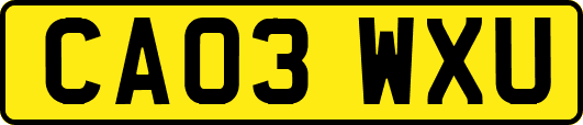 CA03WXU