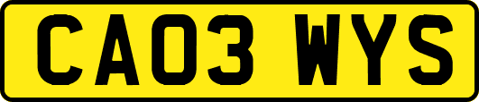 CA03WYS