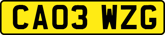 CA03WZG