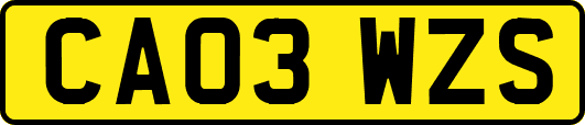 CA03WZS