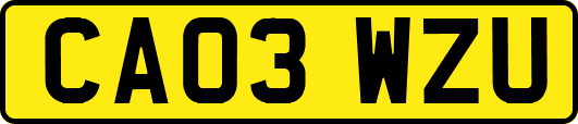 CA03WZU