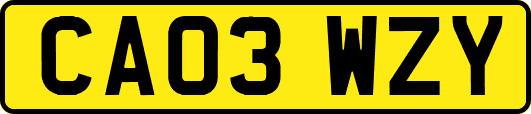 CA03WZY