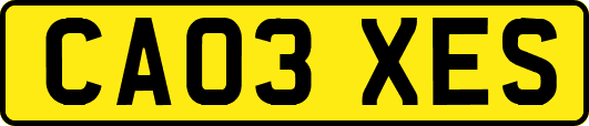 CA03XES