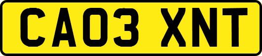 CA03XNT
