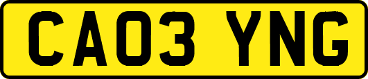 CA03YNG