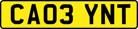 CA03YNT