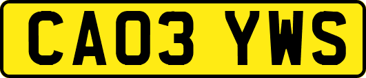 CA03YWS