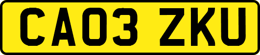 CA03ZKU