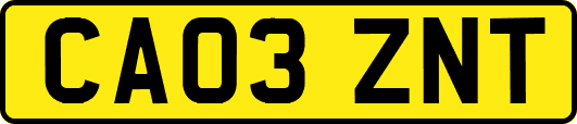 CA03ZNT