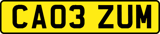 CA03ZUM