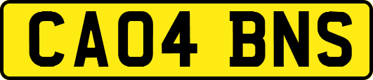 CA04BNS