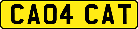 CA04CAT