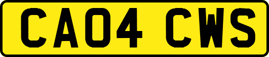 CA04CWS