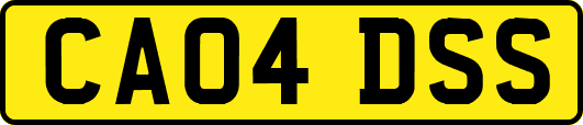 CA04DSS