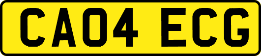 CA04ECG