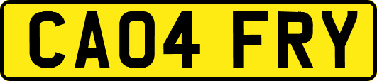 CA04FRY