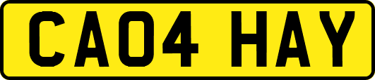 CA04HAY