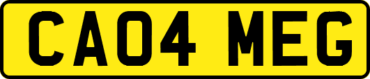 CA04MEG