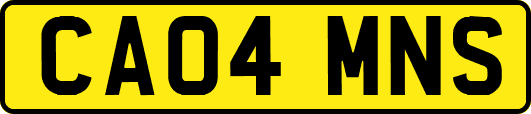 CA04MNS