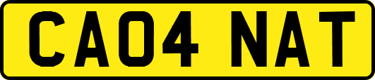 CA04NAT