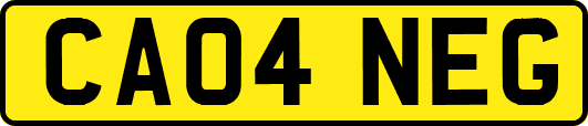 CA04NEG