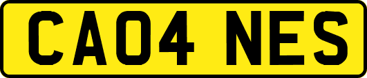 CA04NES