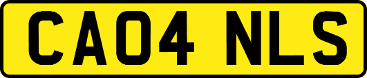CA04NLS