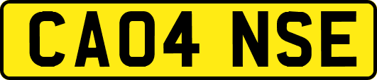 CA04NSE