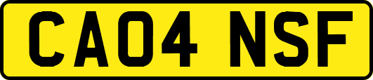 CA04NSF
