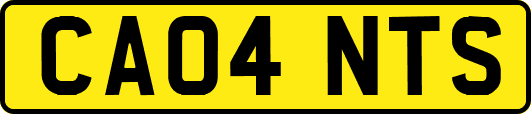 CA04NTS