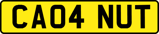 CA04NUT