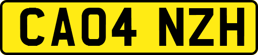 CA04NZH