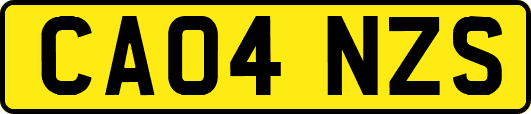 CA04NZS