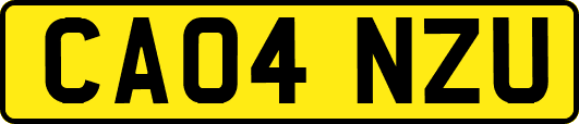 CA04NZU