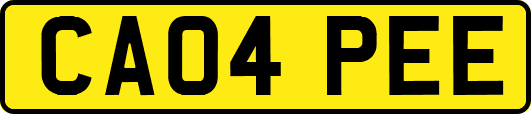 CA04PEE