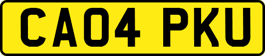 CA04PKU