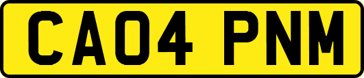 CA04PNM